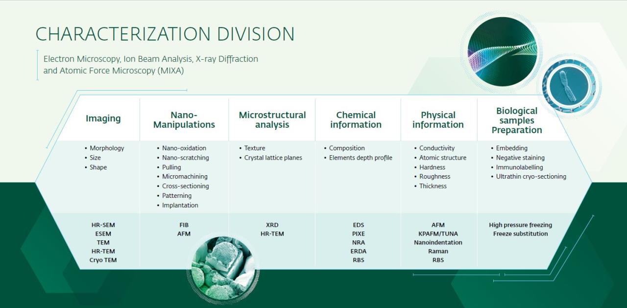 characterization division