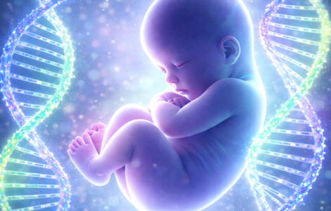 DNA vs. Biological Sex A New Perspective