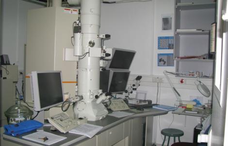 High Resolution Scanning Electron Microscope