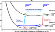 Coherent Amplification of Ultrafast Molecular Dynamics in an Optical Oscillator