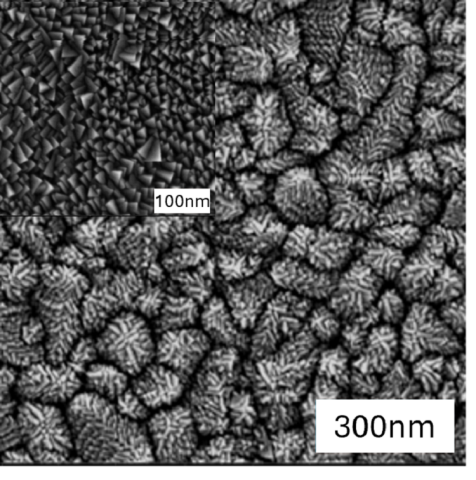 High Resolution Scanning Electron Microscope