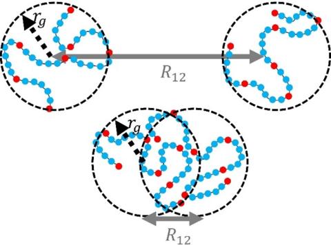 General Title of the Research in the Lab 	Theoretical and Computational Research on Polymers in Materials and Biophysics