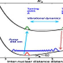 Coherent Amplification of Ultrafast Molecular Dynamics in an Optical Oscillator