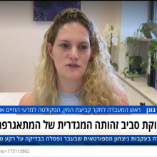 Dr. Nitzan Gonen was interviewed by YNET News 